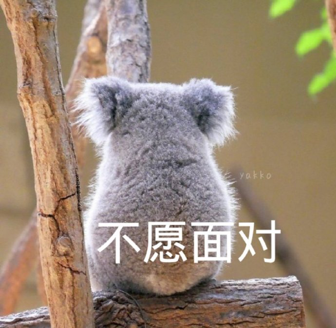 有什么可爱的文案?