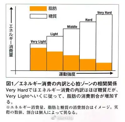 如何健康有效地减肥 知乎