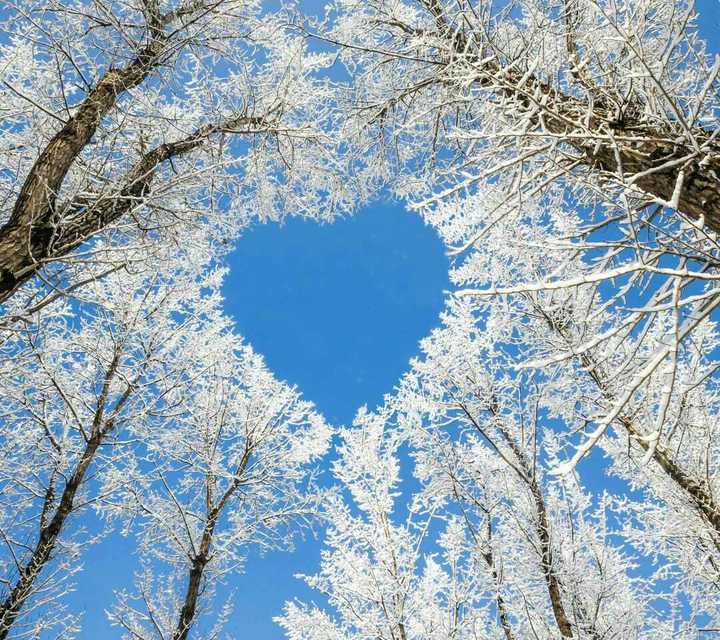 有哪些好的图片适合作qq自定义主题或者微信聊天背景?