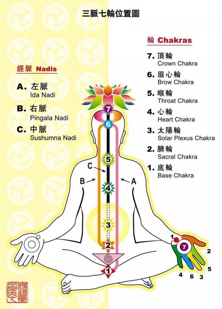 太阳神经丛位置图片