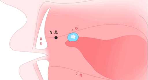 你们平时舌头是怎么放在嘴里的