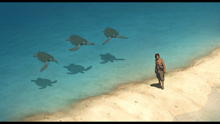 退休→复出→再退休→再复出《红海龟》温馨细腻的笔