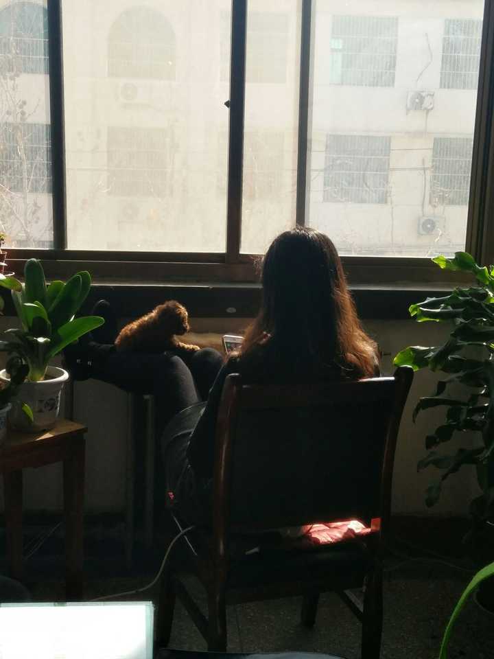我的妈妈, 我的狗, 晒太阳 岁月静好