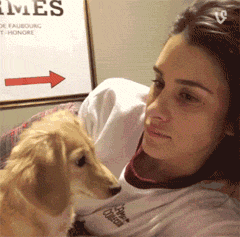 家里小狗是怎样冲着你发嗲的？