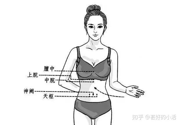 腹部减肥的位置图图片