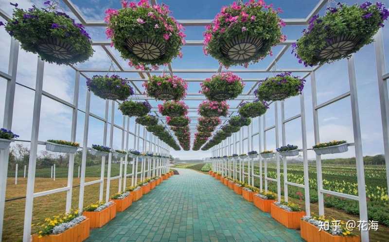 花海 的想法: 新时代旅游景区--广西柳州花海湾集装箱旅… - 知乎