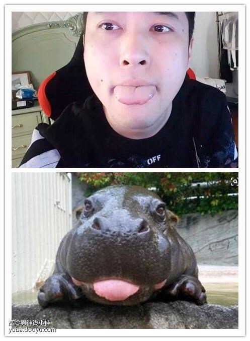 如何评价斗鱼户外主播钱佳?