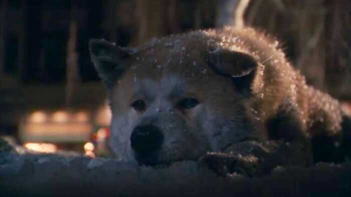 《忠犬八公》