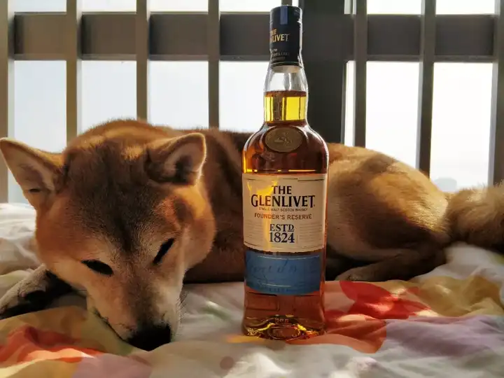 威士忌什么味道以及该怎么喝