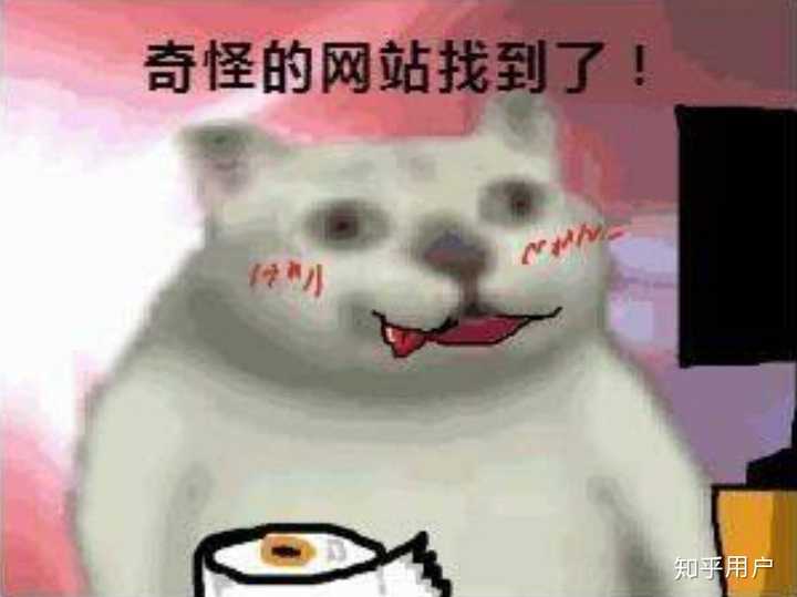 大佬们你们有这只猫的表情包吗？ - 知乎