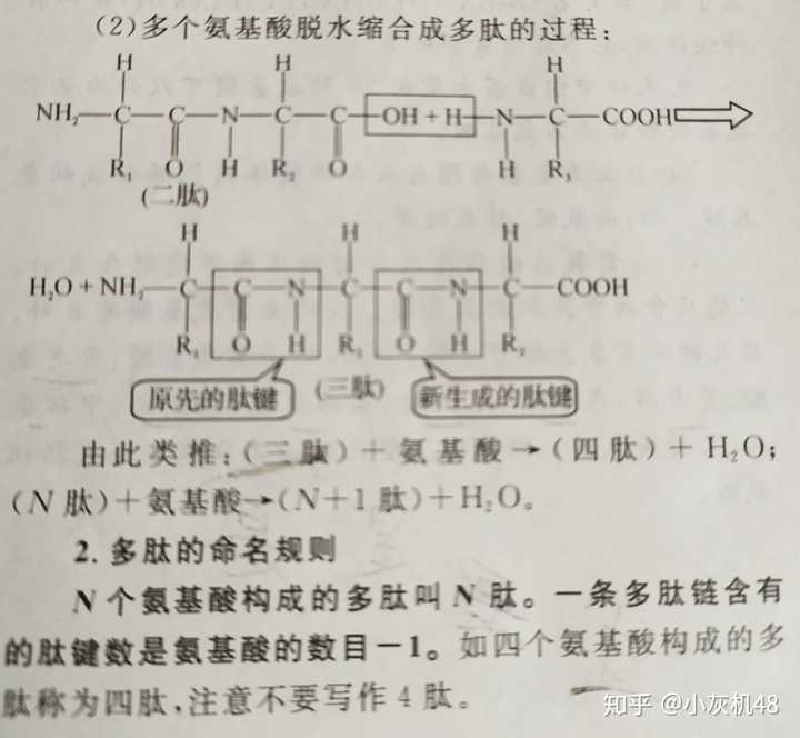 几乎没有基础的高二来得及努力吗 小灰机48 的回答 知乎