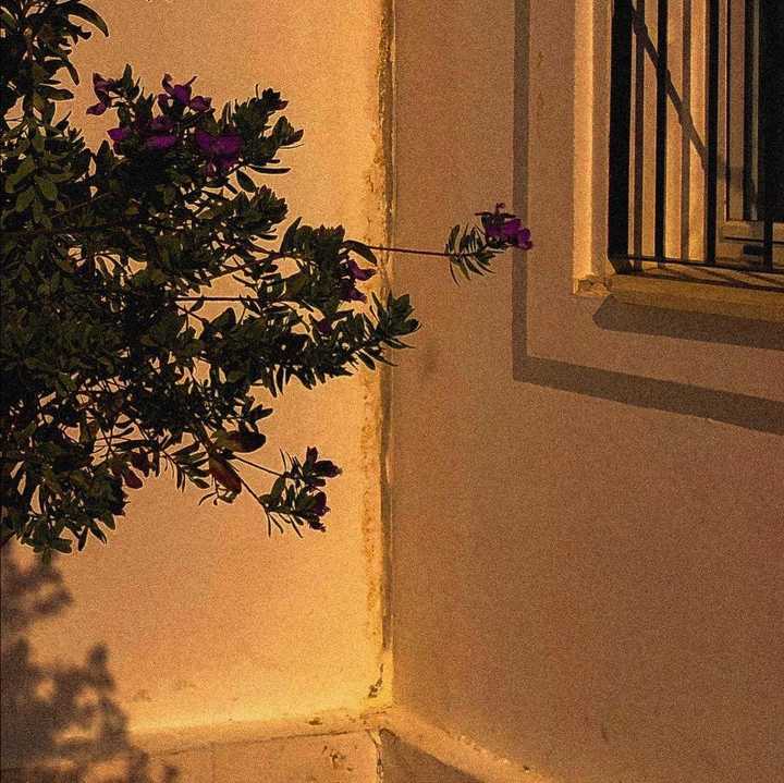 大家有哪些温柔的图片呢？