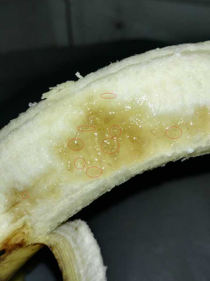 为什么桃子非常容易长虫而香蕉从来不长虫呢