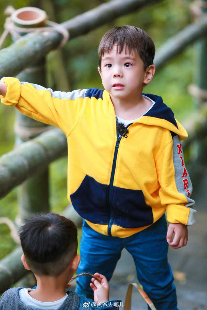 如何评价《爸爸去哪儿》第五季嗯哼的表现?