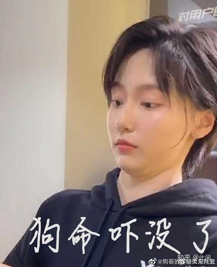 如何评价《爱情公寓 5》中的诸葛大力这一角色(不上升到演员成果)?