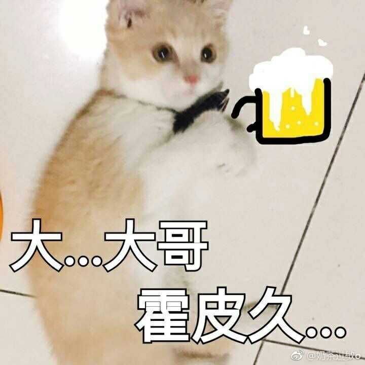 为qg疯狂打call是我一直支持的小奶猫啊,还有还有 这么奶教练