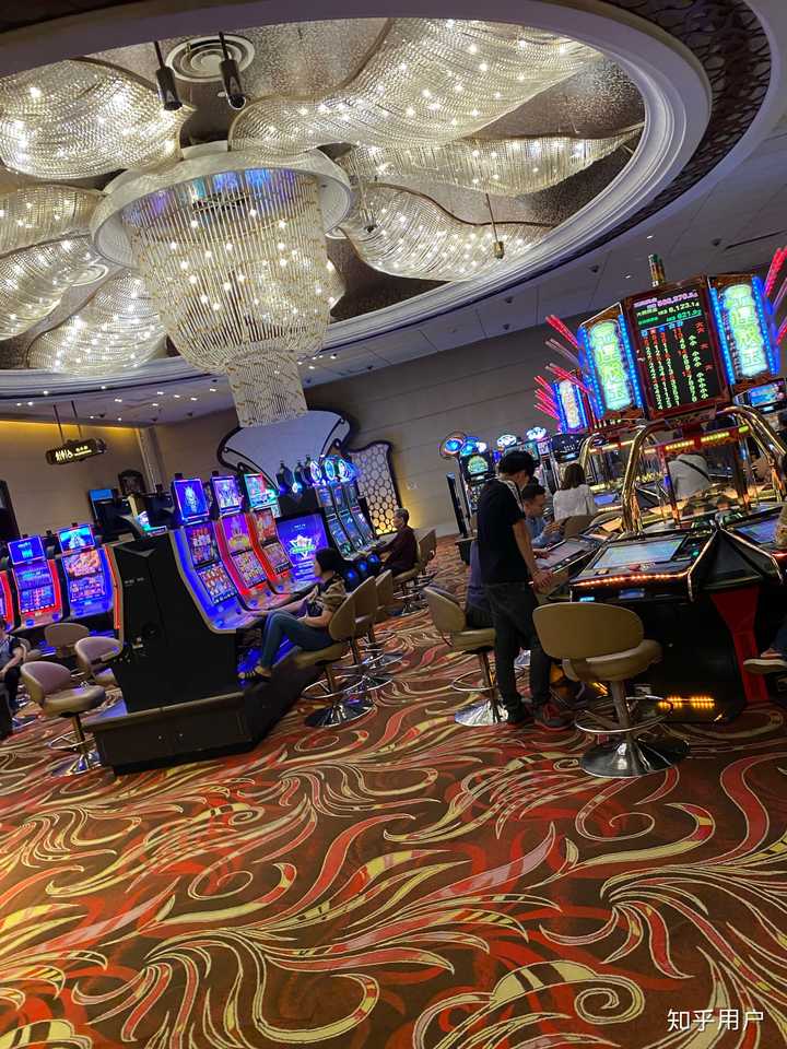 有多少人赌博输得倾家荡产?