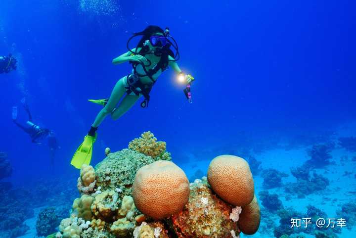 女生第一次潜水要选哪种潜水服和面镜,另外我想潜水服能直接穿的那种.