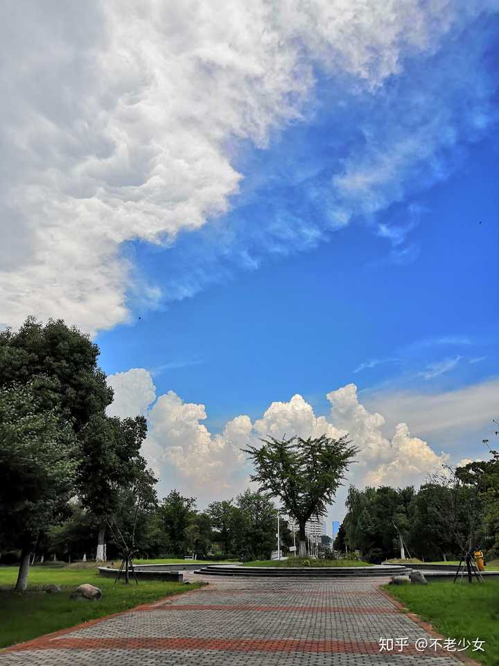 有哪些不经意拍出的惊艳照片?