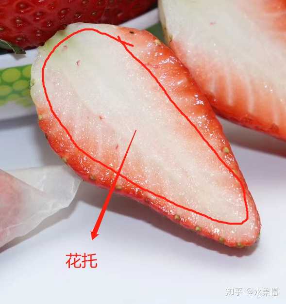 诡计多端,草莓诱人的鲜红色果肉,并不是它的果实,而是膨大的花托 果实