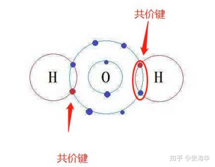 什么是链式反应自由基能给我解释一下吗?通俗易懂的解释?