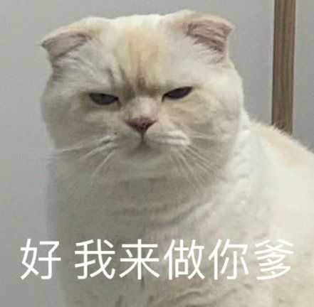 有没有特别酷的文案?