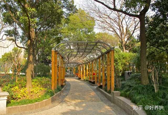 上海好玩的公园