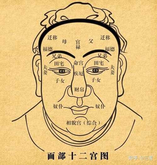 有粉丝问福德宫在哪里,我们来复习下面相十二宫的位置,如图,福德宫就