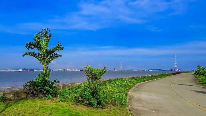 南沙海鸥岛图片