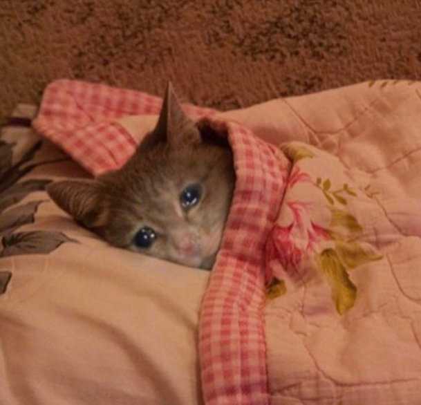 12 是不是双星座 12月21日不像射手座 12月21日的射手座分析