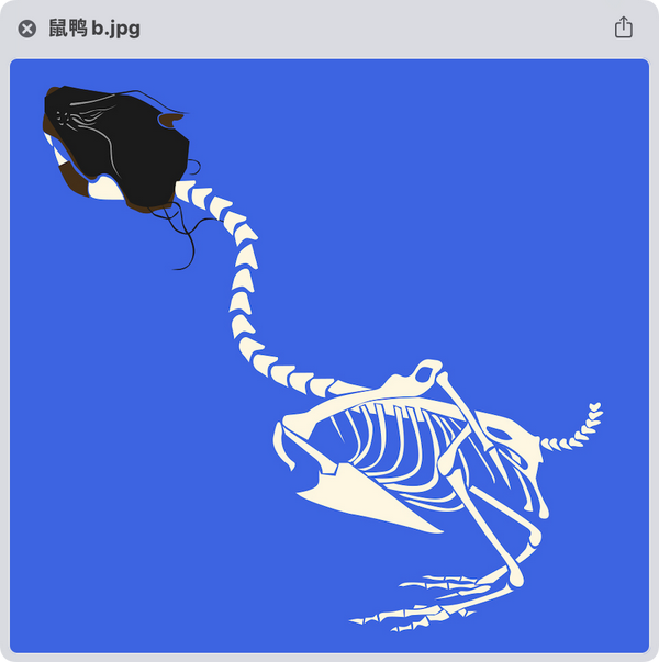 逻辑可靠吗，或者逻辑的源头在哪？