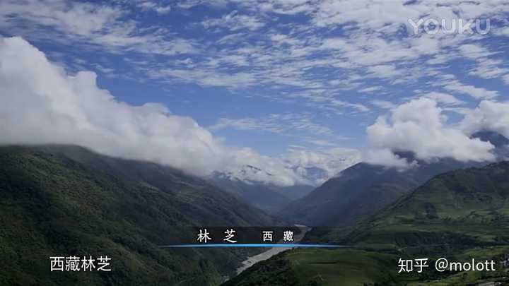 为什么95后男生 帅的好看的比例特别高 Molott 的回答 知乎 为什么95后男生 帅的好看的比例特别高 Molott 的回答 知乎
