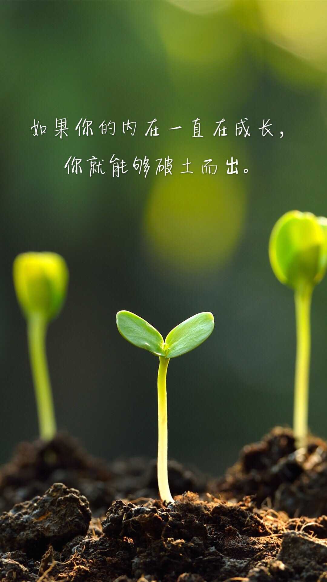 如果你的内在一直在成长