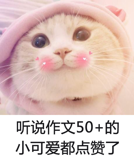 有哪些能给考场作文加分的句子或词语?