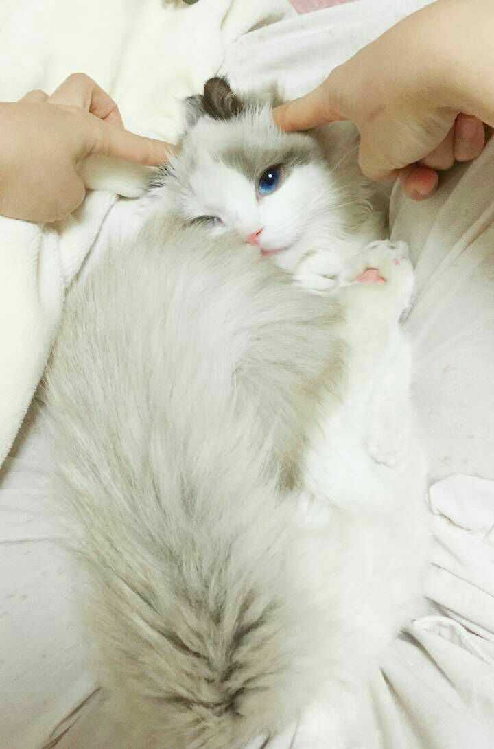 有什么实用技巧在多人混战中?