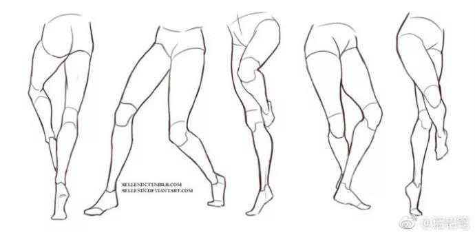 股二头肌肌腱在膝盖内侧形成向内的线条.