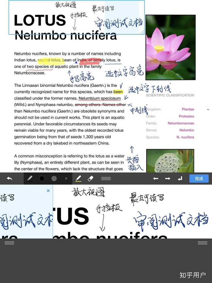 怎样利用ipad 学习 知乎 怎样利用ipad 学习 知乎