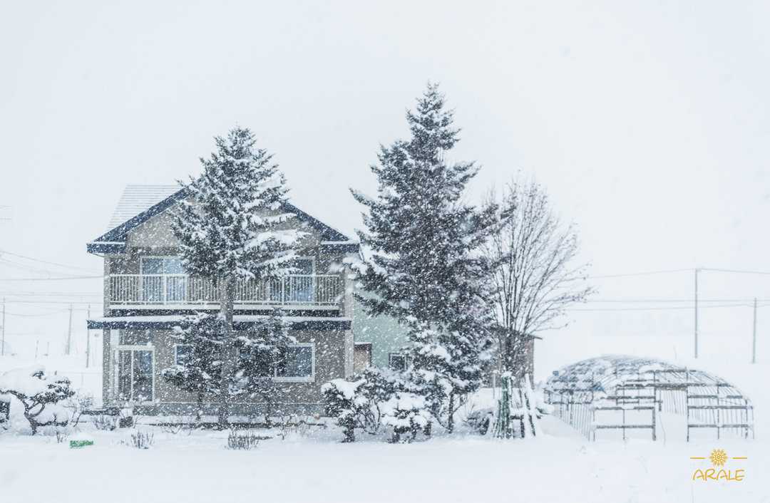 每日新聞# 明天,一年一度的札幌冰雪節… - 知乎