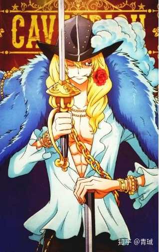 女生和男生看海贼王时,会有哪些不同的感受或者关注点?