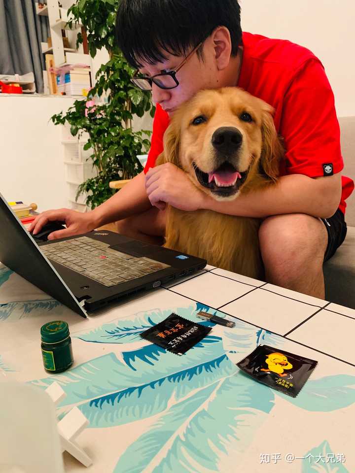 这个是爱啃黄瓜的狗贼,其实也不是他爱吃黄瓜,只是他小心眼儿,看我吃