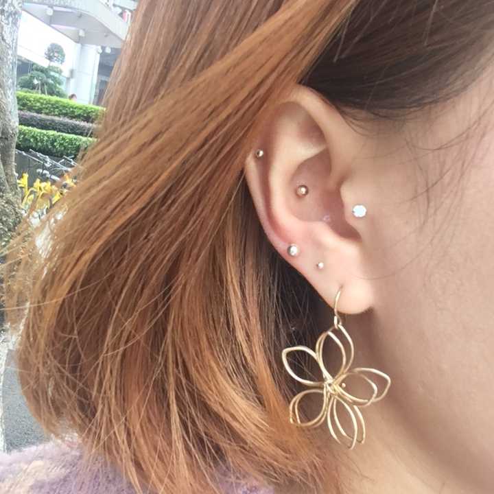 今年多的一对:小耳朵 耳垂第三个 成年以来一年一对… 一共4对,8个.