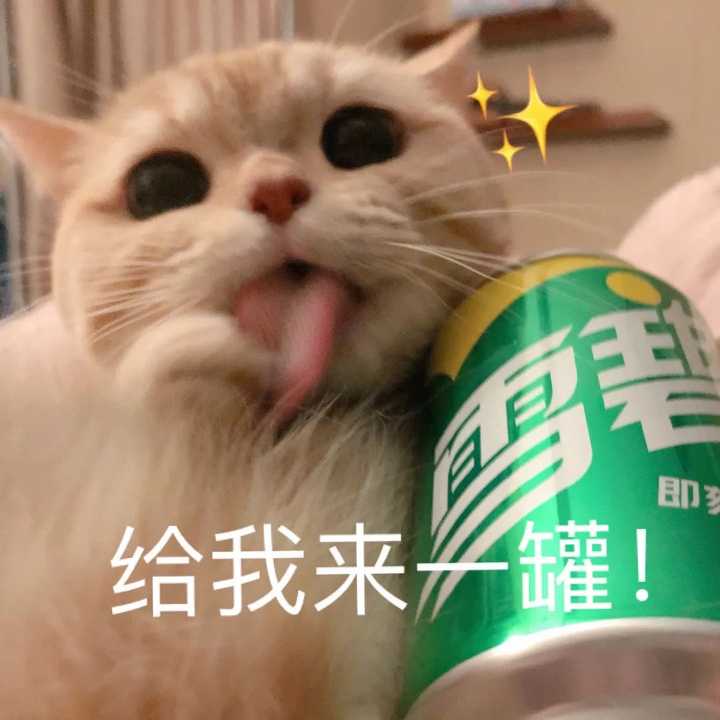 有没有猫抱着饮料的头像?