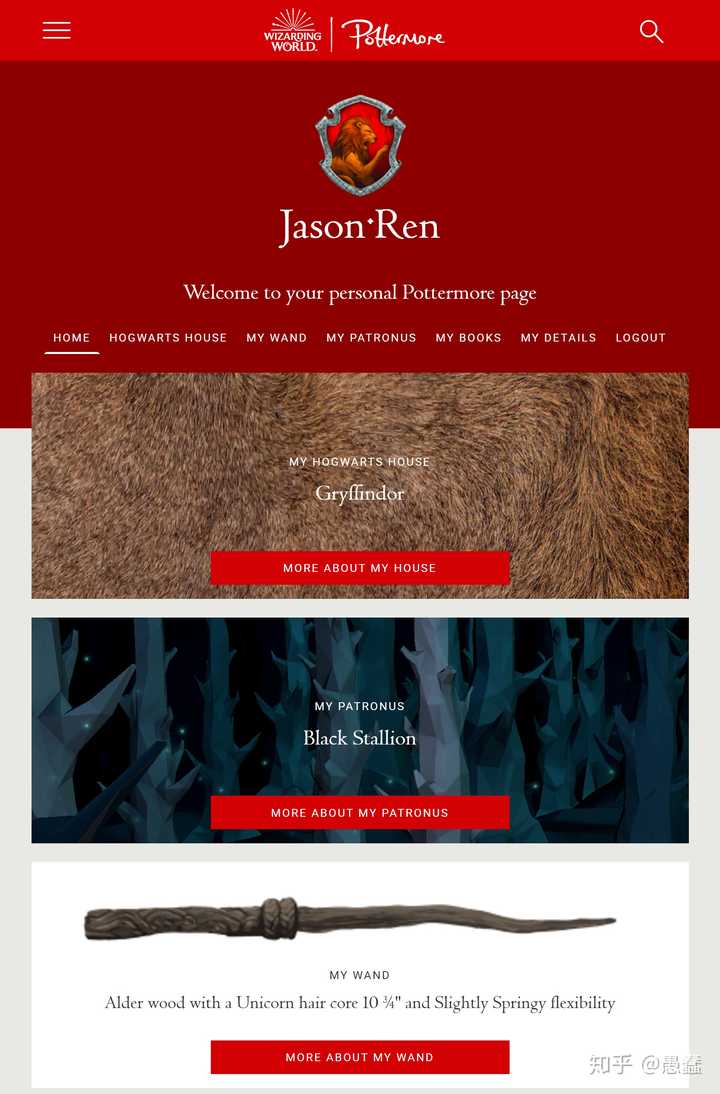 black stallion 大概是黑马?