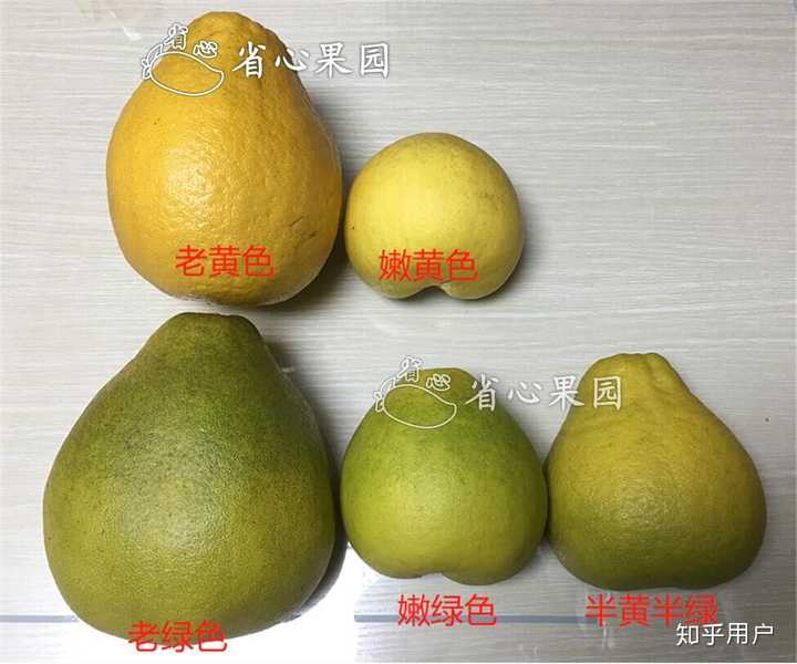如何挑好的柚子？ - 知乎
