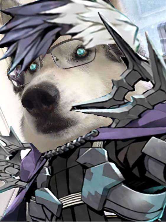 果然名字里带"齐格"的在月世界往往是悲剧