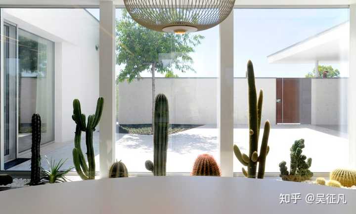 如何设计一个成功的室内花园呢 知乎 如何设计一个成功的室内花园呢 知乎