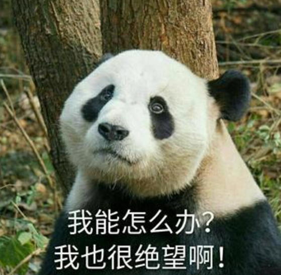 求救计算机不显示移动硬盘,磁盘管理里面找不