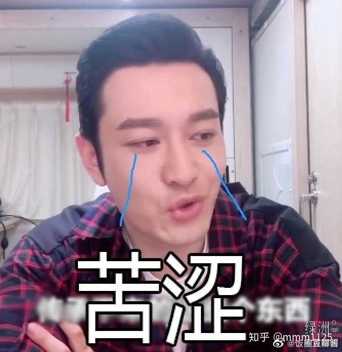 如何看待综艺节目乘风破浪的姐姐们?