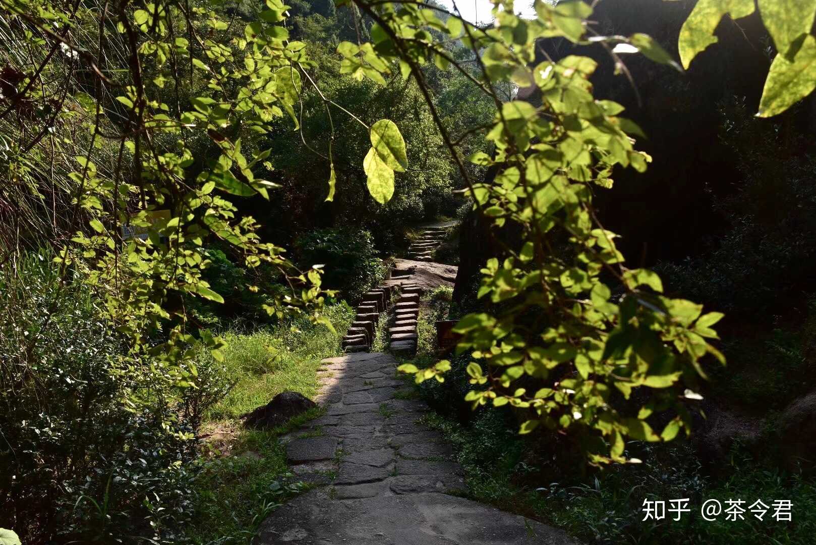 清晨入古寺,初日照高林