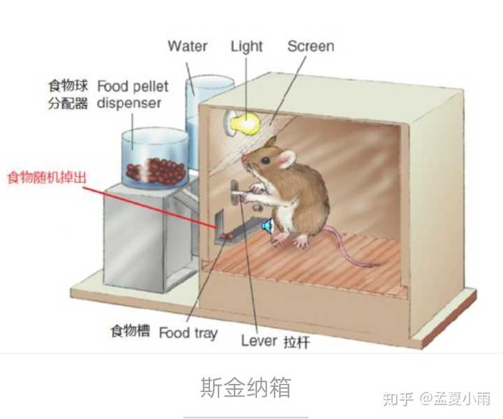 你们都是怎么走出强迫症的?